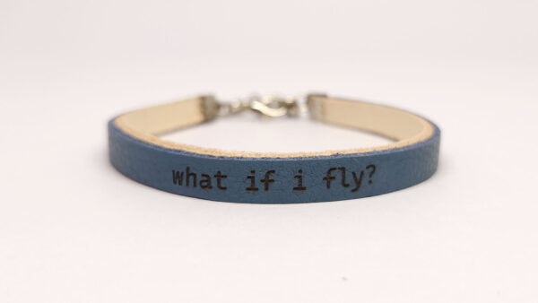 What if I Fly? - Image 2