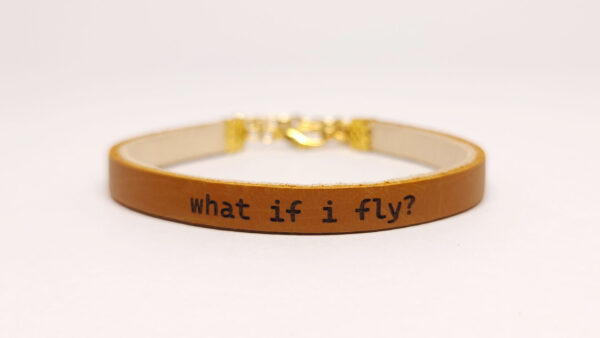 What if I Fly? - Image 5