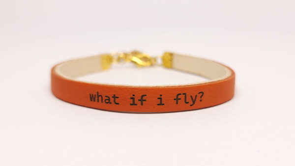 What if I Fly? - Image 3