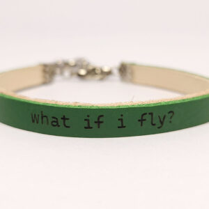 What if I Fly?